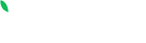 JivoChat